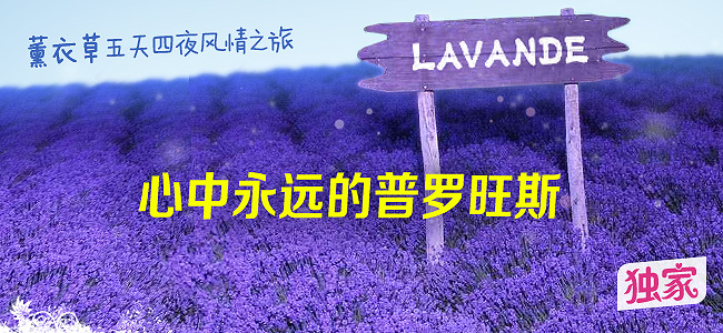 五天四夜法国南部薰衣草深度游