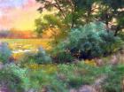 美国画家雅各布·阿吉亚尔色粉画 《 原 野》欣赏
